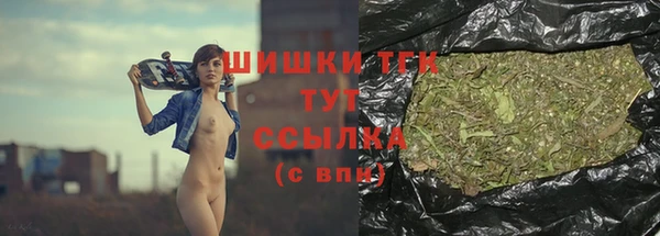 соль ск Богородицк