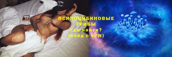 спайс Богданович