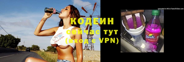 спайс Богданович