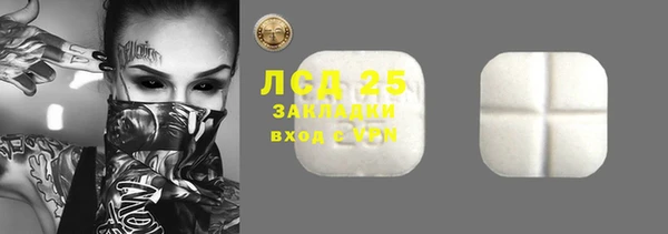 спайс Богданович