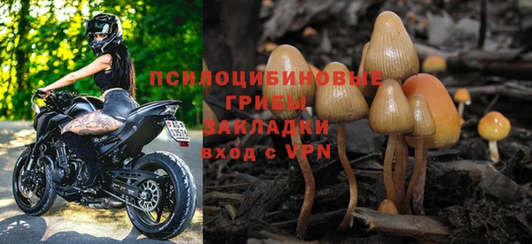 спайс Богданович