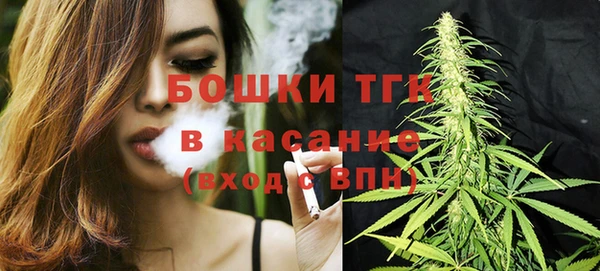 спайс Богданович
