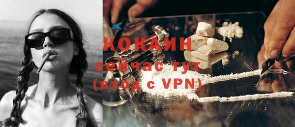 спайс Богданович