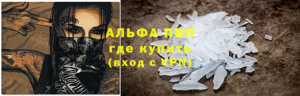 спайс Богданович