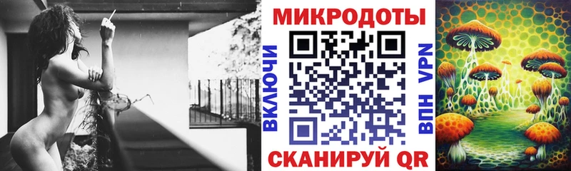 где купить   МЕГА ССЫЛКА  Псилоцибиновые грибы Magic Shrooms  Циолковский 